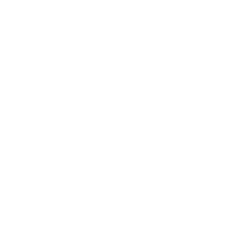 studylon logo