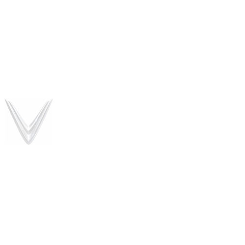 vinfast logo