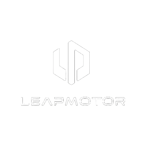 Leapmotor Memscreative Referance